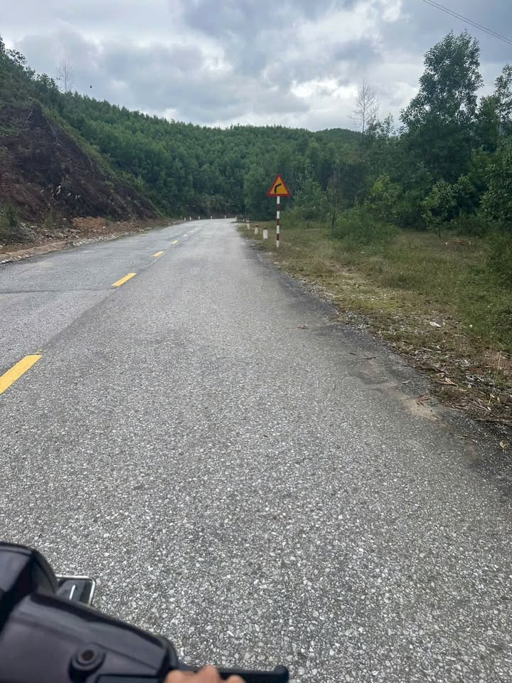 Đất rừng mặt tiền Quốc lộ 14B Hòa Vang 30.000m² chỉ 1 tỷ - Cơ hội đầu tư tuyệt vời!