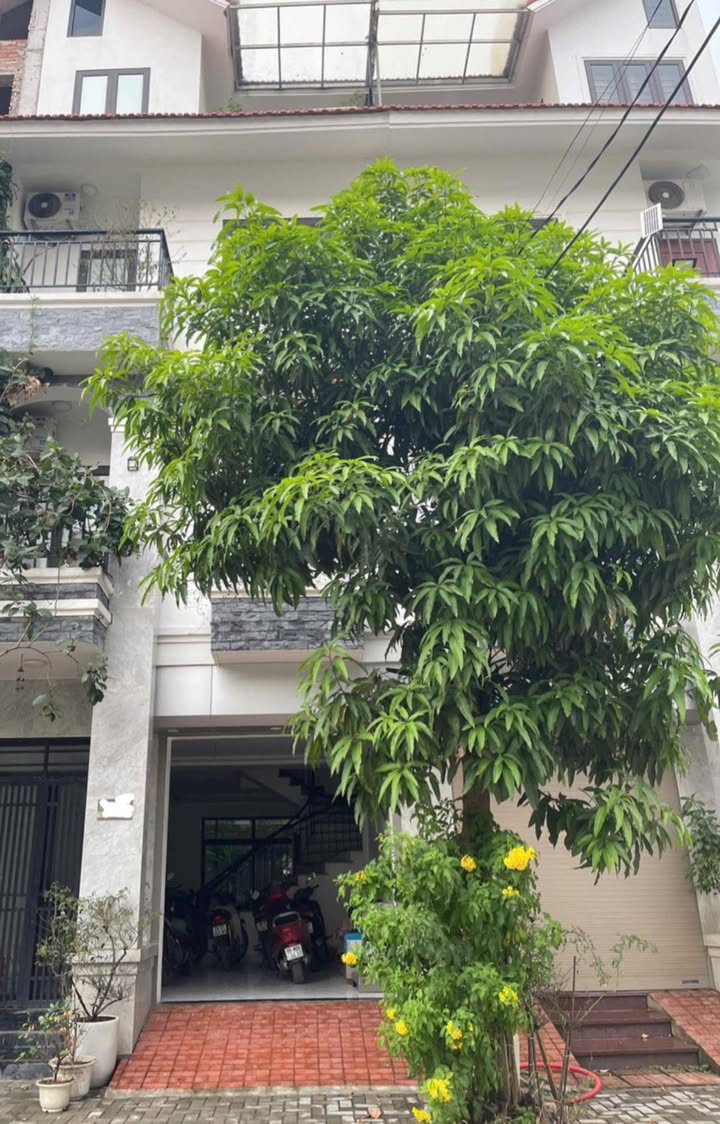 Nhà liền kề Cienco 5 Tân Lập 75m² - Full nội thất, thang máy tiện lợi