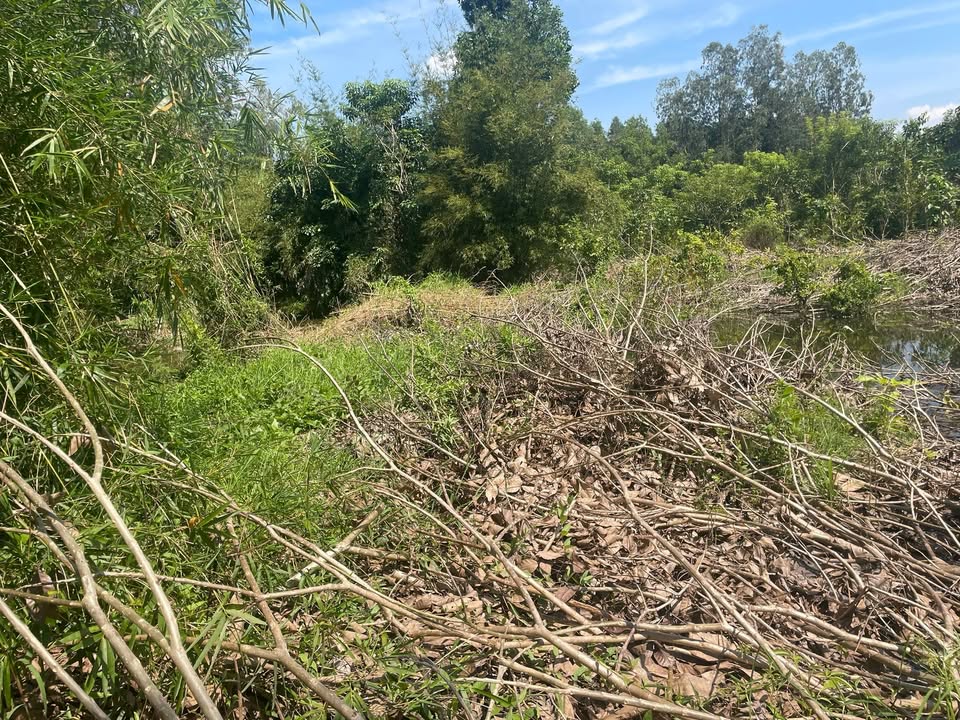 Đất nền Phương Bình, Cần Thơ 40.000m² giá 110 triệu/1000m² - Cơ hội đầu tư hấp dẫn!