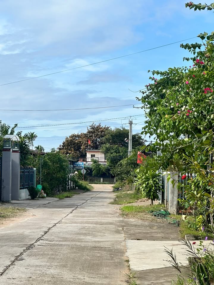 Đất thổ cư 300m² tại hẻm Phố Vui, xã Ea Bung chỉ 275 triệu - Cơ hội đầu tư hấp dẫn!