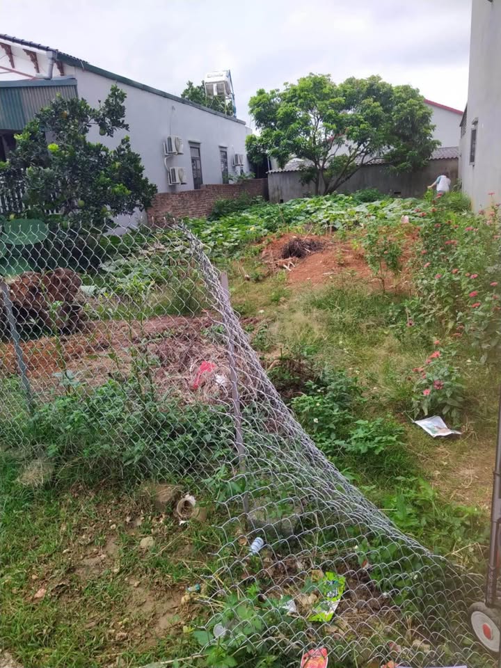 Đất thổ cư 80m² tại phường Chiềng Sinh, Sơn La - Sổ hồng chính chủ, giá thỏa thuận!