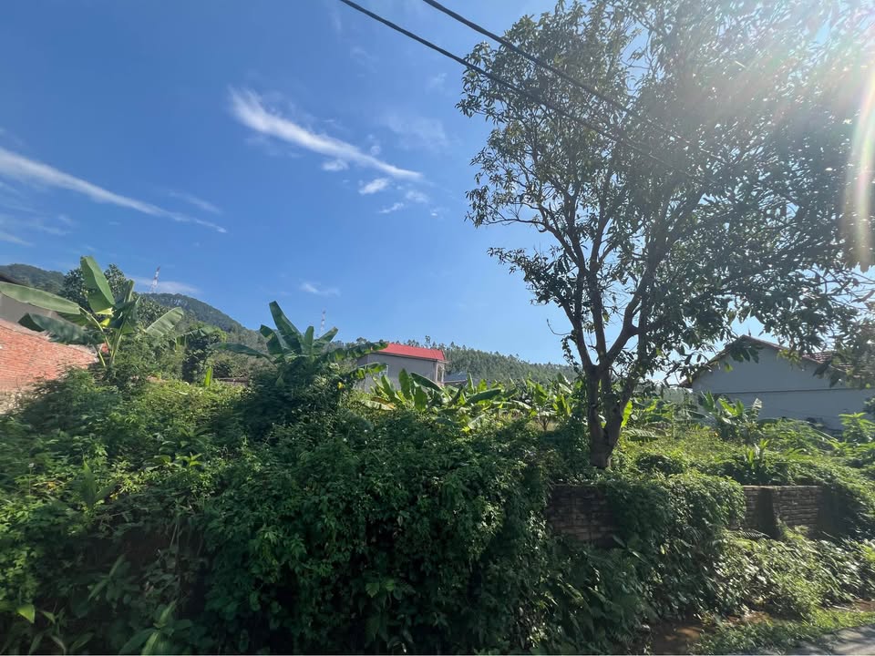 Đất nền Lô góc 2 mặt tiền Tam Đảo 872m² giá 4 tỷ - Đầu tư nghỉ dưỡng lý tưởng!