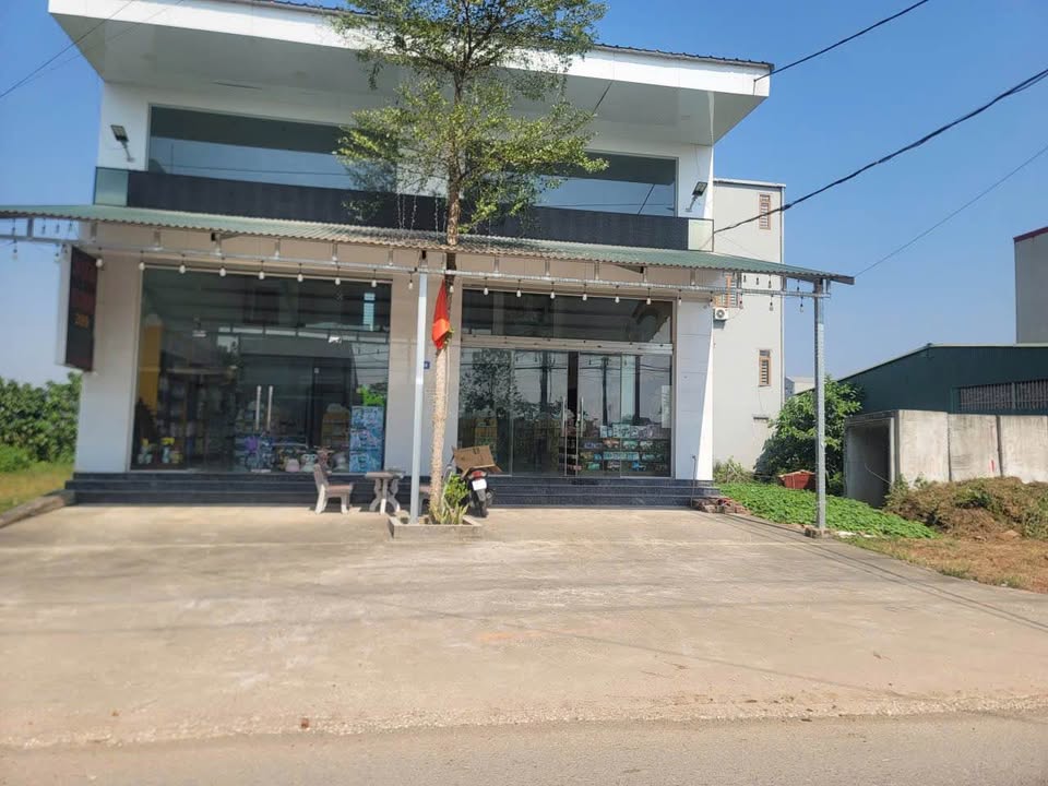 Đất kinh doanh tại chợ Thanh Vân, Tam Dương 108m² - Giá rẻ nhất khu vực!