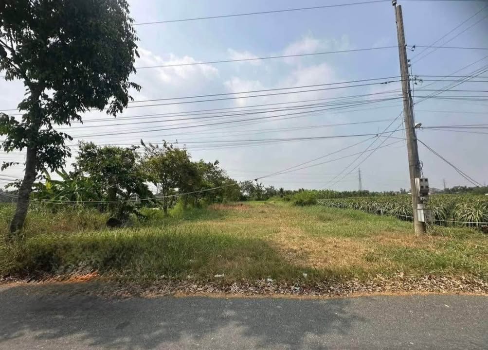 Đất mặt tiền Lê Văn Cảng, Tân An, Long An 1.674m² giá 5.5 tỷ - Đầu tư sinh lời tuyệt vời!