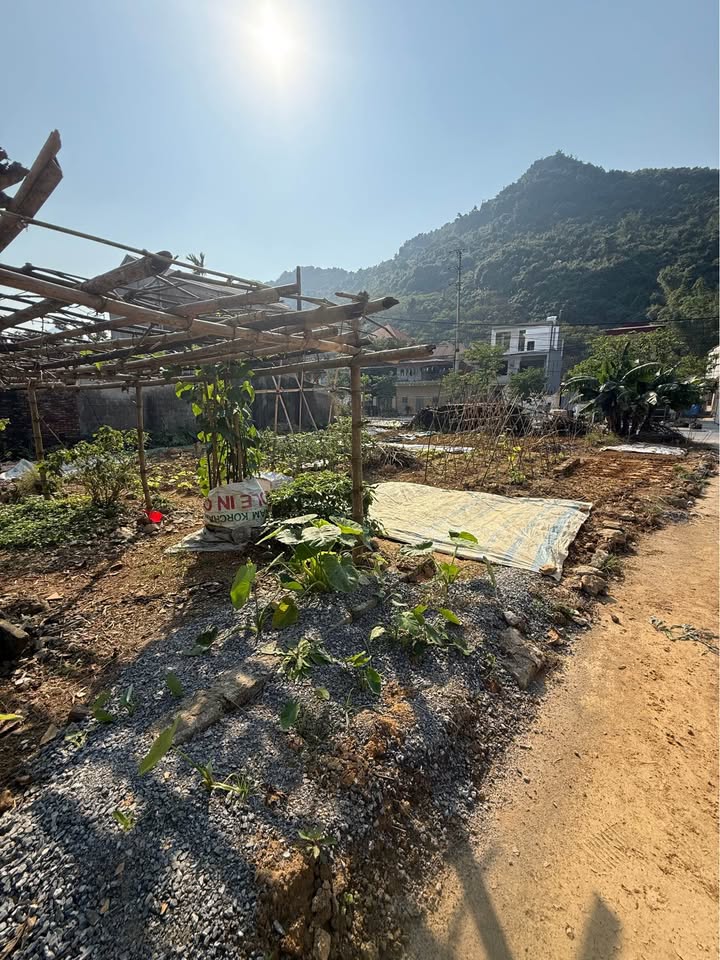 Đất nền Ba Sao, Kim Bảng, Hà Nam 251m² giá 6.275 tỷ - Cơ hội đầu tư vàng!