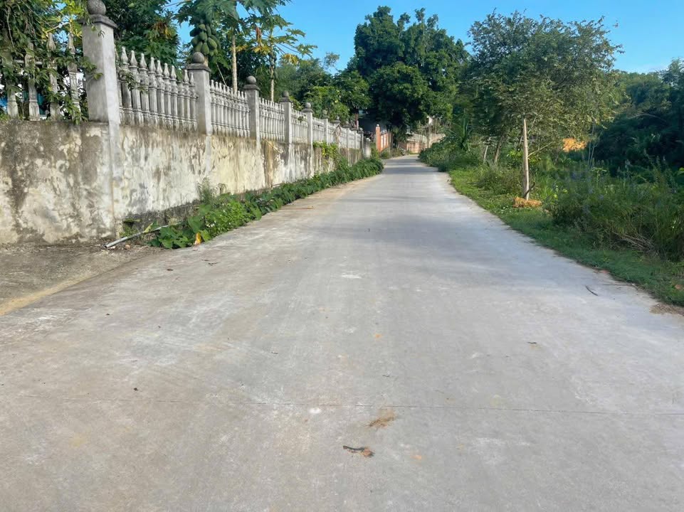 Đất nền Đông Thành, Thanh Ba 500m² giá 800 triệu - Mặt tiền cực đẹp, dân cư đông đúc!