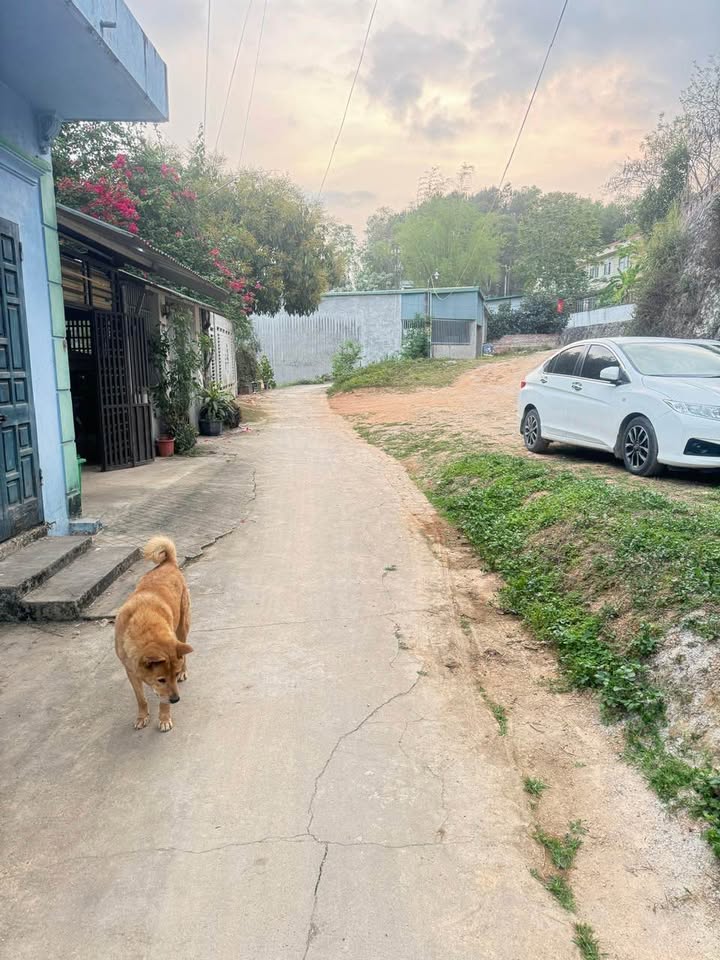 Đất nền phường Sông Hiến - TP Cao Bằng 66,1m² giá chỉ 500 triệu - Sổ đỏ chính chủ!