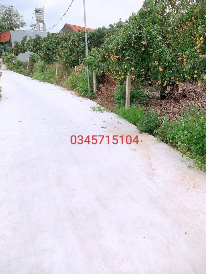 Đất nền Vô Tranh Lục Nam 580m² giá chỉ 5XX - Đầu tư tiềm năng!