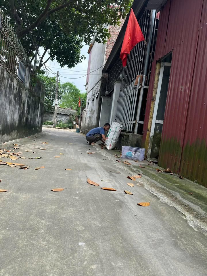 Đất Dục Tú 148m² giá chỉ 4 triệu/m² - Tặng nhà cấp 4 3 phòng ngủ!