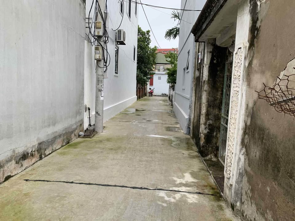 Đất thổ cư 276m² xã Tự Lập, huyện Mê Linh - Sổ đỏ chính chủ, giá thỏa thuận!