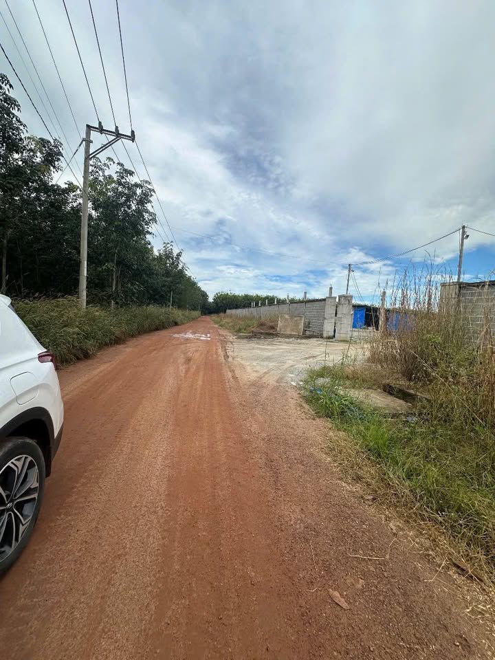 Đất nền Tân Hiệp, Hóc Môn 1090m² chỉ 1 tỷ - Cơ hội đầu tư sinh lời!