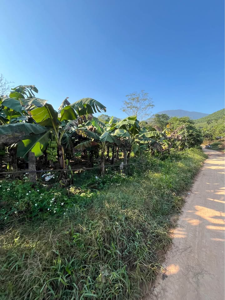 Đất nền Phúc Thuận 5000m² giá chỉ 800 triệu - Cơ hội đầu tư tuyệt vời!