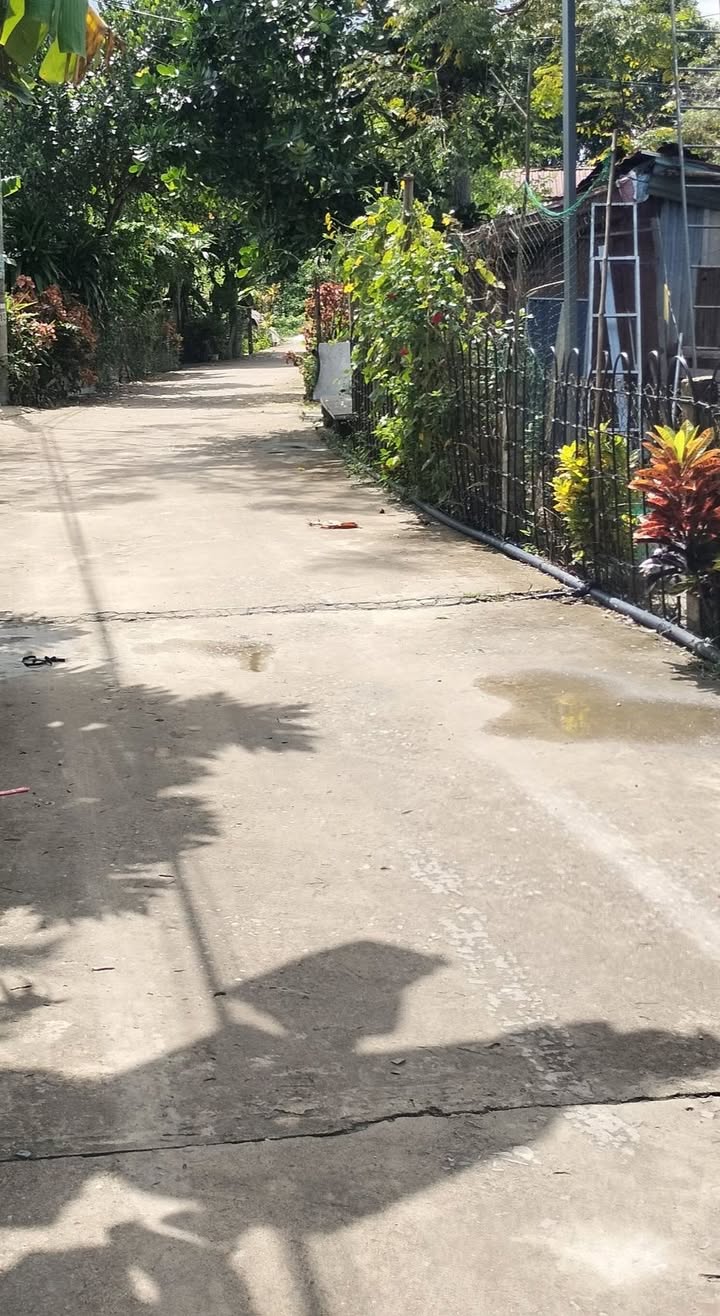 Đất thổ cư 140m² Phú Thượng, Hòa Khánh, Đà Nẵng - Giá chỉ 1 tỷ, ô tô vào tận nơi!