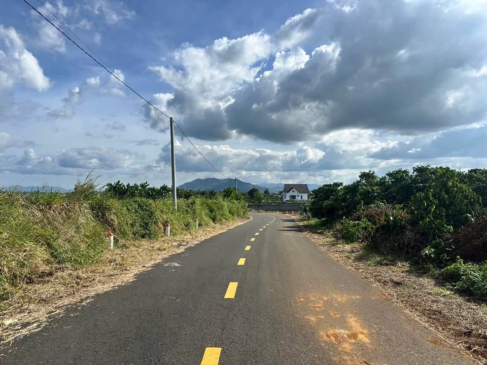 Đất mặt tiền Nguyễn Trãi P2 Bảo Lộc 228m² giá 3 tỷ - Cơ hội vàng cho đầu tư!