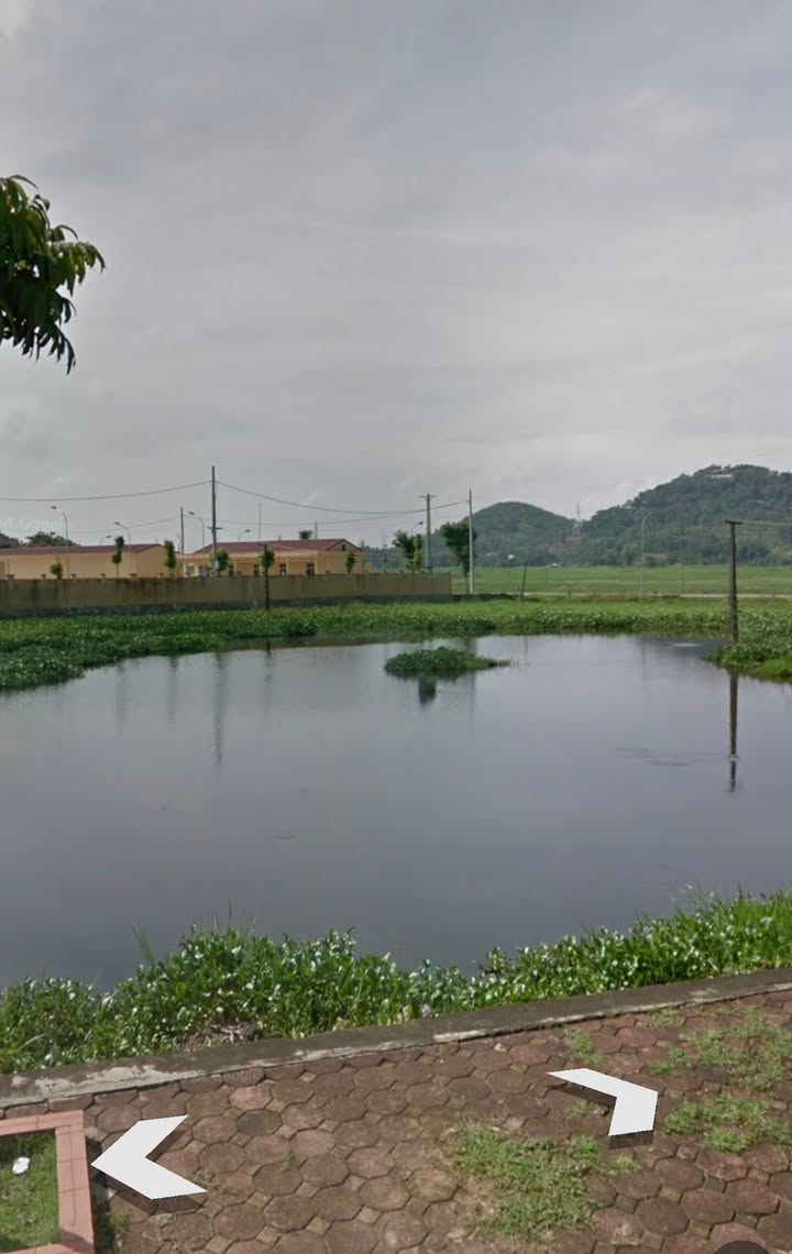 Đất Tái Định Cư Đồng Láng Sơn Tây 300m² giá 6 tỷ - Vị trí đẹp, view hồ thoáng mát!