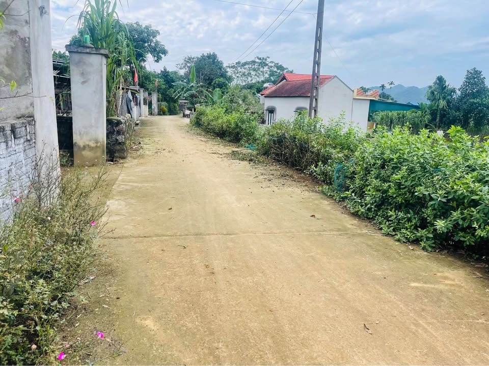 Đất nền Lạc Thịnh Yên Thủy 1584m² - Sổ đỏ riêng, vị trí đẹp gần hồ