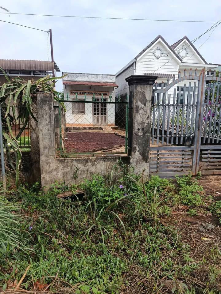 Đất nền Cư M'gar 530m² giá chỉ 900 triệu - Cách trung tâm xã Quảng Hiệp chỉ 300m!