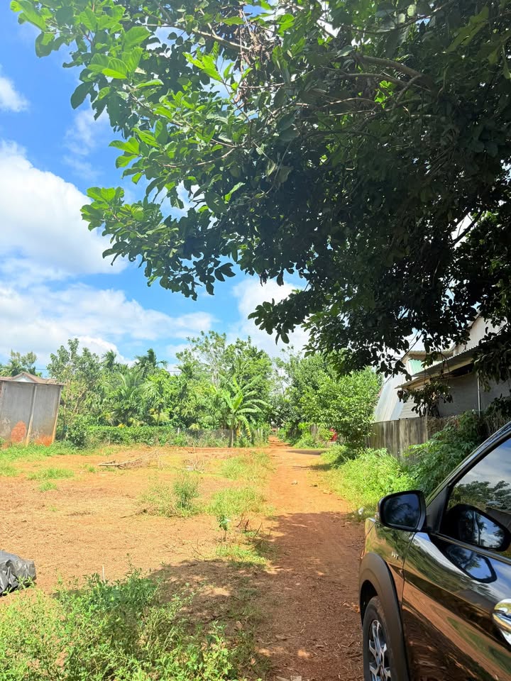 Lô đất 150m² tại xã Ea Tiêu, Cư Kuin - Giá chỉ 350 triệu, đầu tư sinh lời!