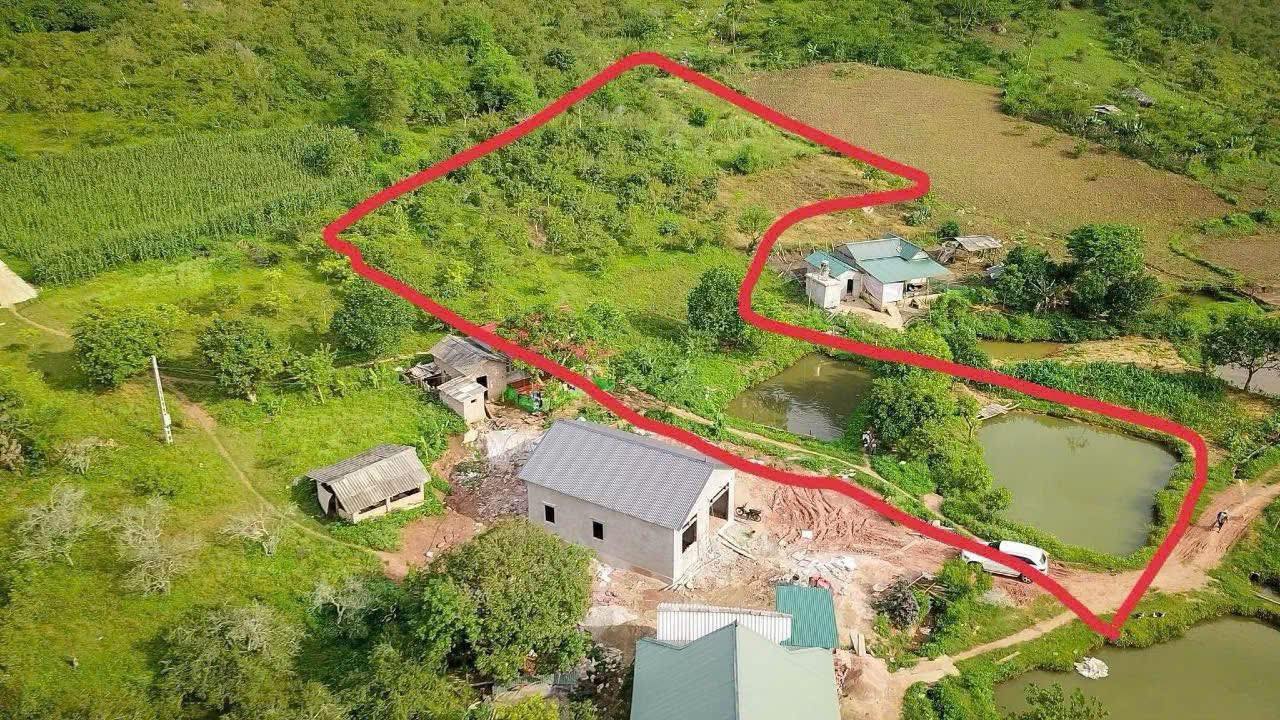 Đất Farm tại Bản Nà Bó 2, Mường Sang 3500m² - Cơ hội đầu tư hấp dẫn!