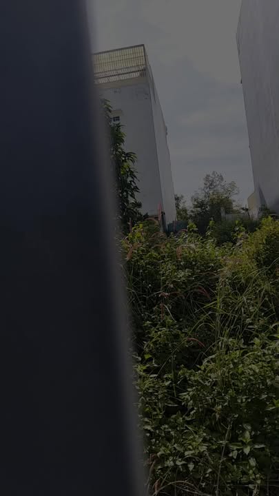 Đất dự án Cảng Sài Gòn, Nhà Bè 120m² giá 6.55 tỷ - Khu dân trí cao, đường rộng 14m!