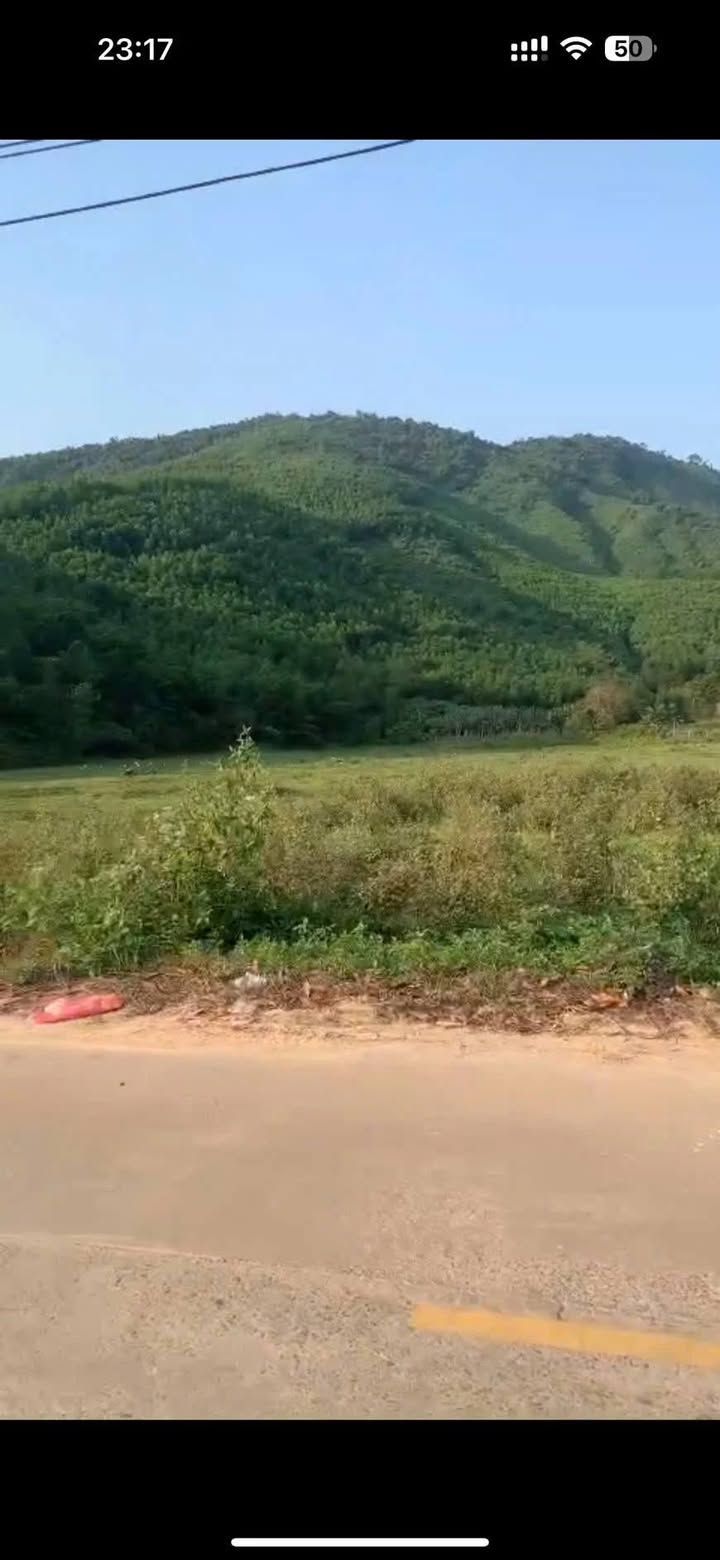 Đất đẹp thôn An Định, xã Hòa Bắc, Đà Nẵng 1021m² giá 2.35 tỷ - Tiềm năng đầu tư cao!