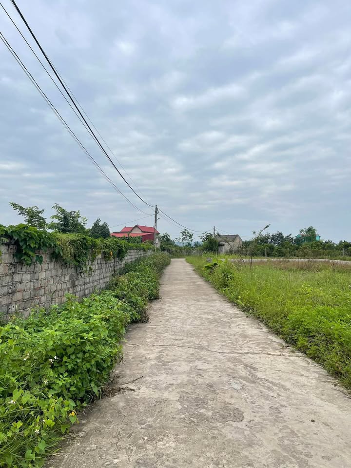 Đất thổ cư Trù Hựu, Lục Ngạn, Bắc Giang 380m² giá 700 triệu - Đầu tư lâu dài