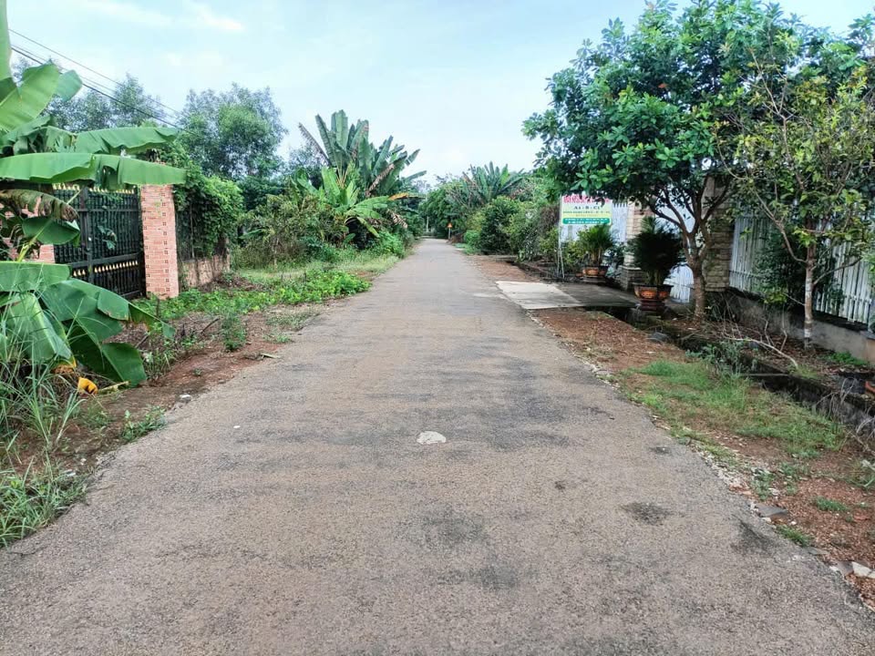 Đất nền Đức Tín, Đức Linh 520m² giá 5.2 tỷ - Cơ hội đầu tư không thể bỏ qua!