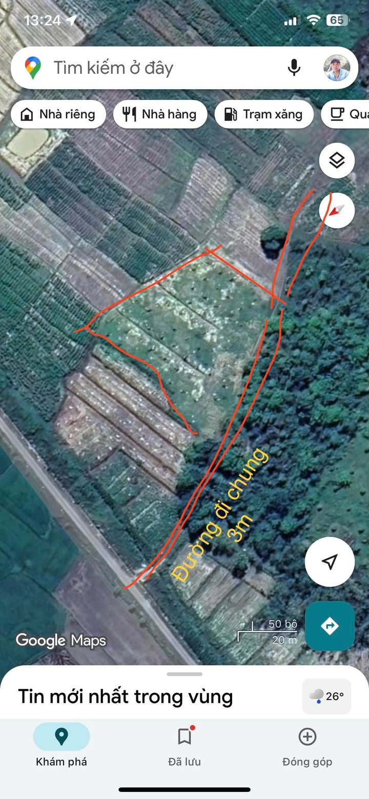 Đất nông nghiệp 2000m² tại Đạ Tẻh - Giá chỉ 250 triệu - Sổ hồng sẵn!