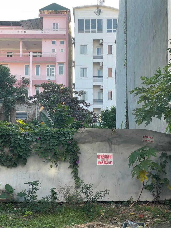 Đất nền dự án Vựng Đâng-Cienco 5, Hạ Long 82,5m² giá 5.044 tỷ - Đầu tư sinh lời ngay!