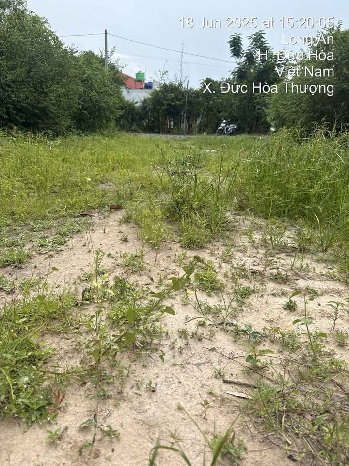 Đất thổ cư 150m² xã Mỹ Hạnh, Long An giá 820 triệu - Đầu tư sinh lời ngay!