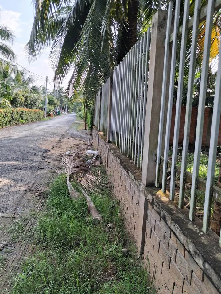 Đất nền Bến Tre 701m² giá 2.25 tỷ - Đầu tư kinh doanh sinh lời