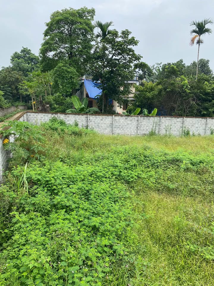 Đất nền Cư Yên Lương Sơn 1000m² - Giá đầu tư hấp dẫn, vị trí đắc địa!