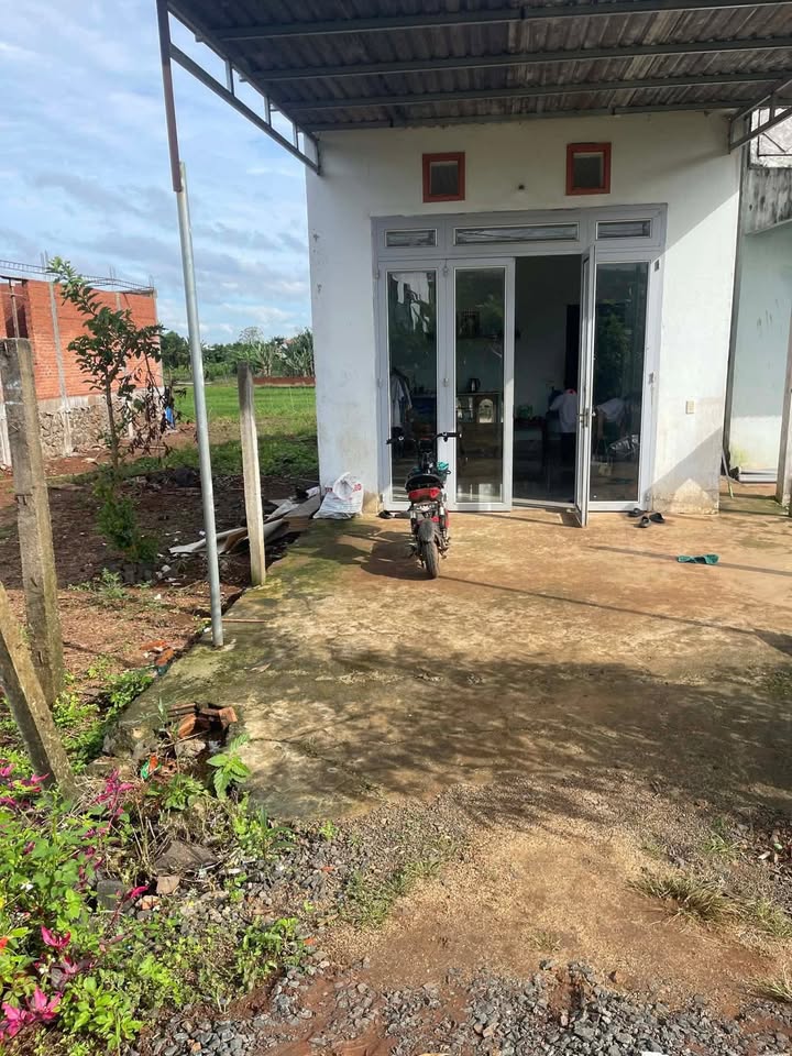 Nhà cấp 4 Cư Êbur Buôn Ma Thuột 260m² giá 1.36 tỷ - Sổ hồng chính chủ!