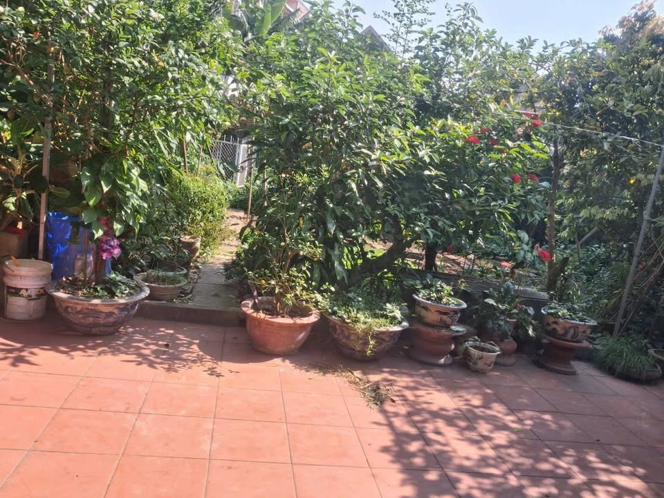 Đất nền đẹp 466,8m² đường Lê Lai, phường Hạc Thành - Chỉ 27 triệu/m²!