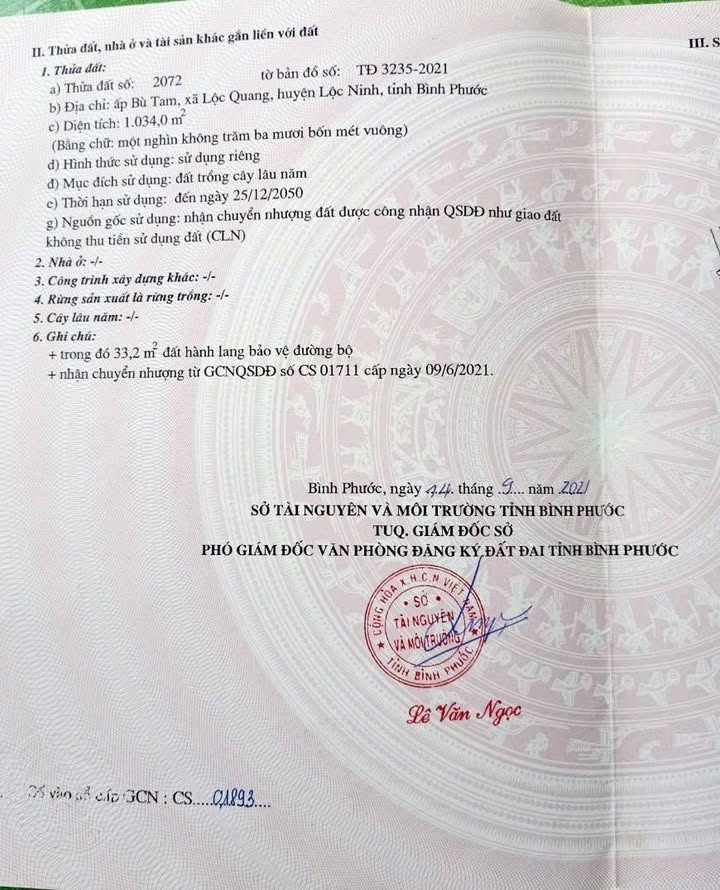 Đất sào chính chủ Lộc Quang 1000m² giá chỉ 295 triệu - Cơ hội đầu tư hấp dẫn!