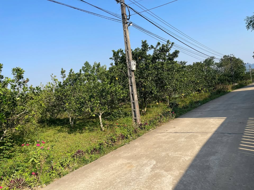 Đất Farm Đoàn Kết Yên Thủy 1800m² giá 1 tỷ - Bốn mặt tiền đẹp không nghĩ!