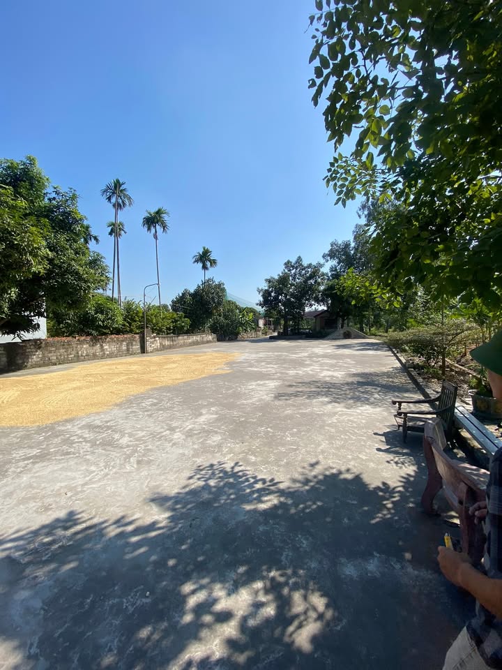 Đất nền Phù Ninh 73.5m² giá chỉ 6xx triệu - Tiềm năng đầu tư hấp dẫn!