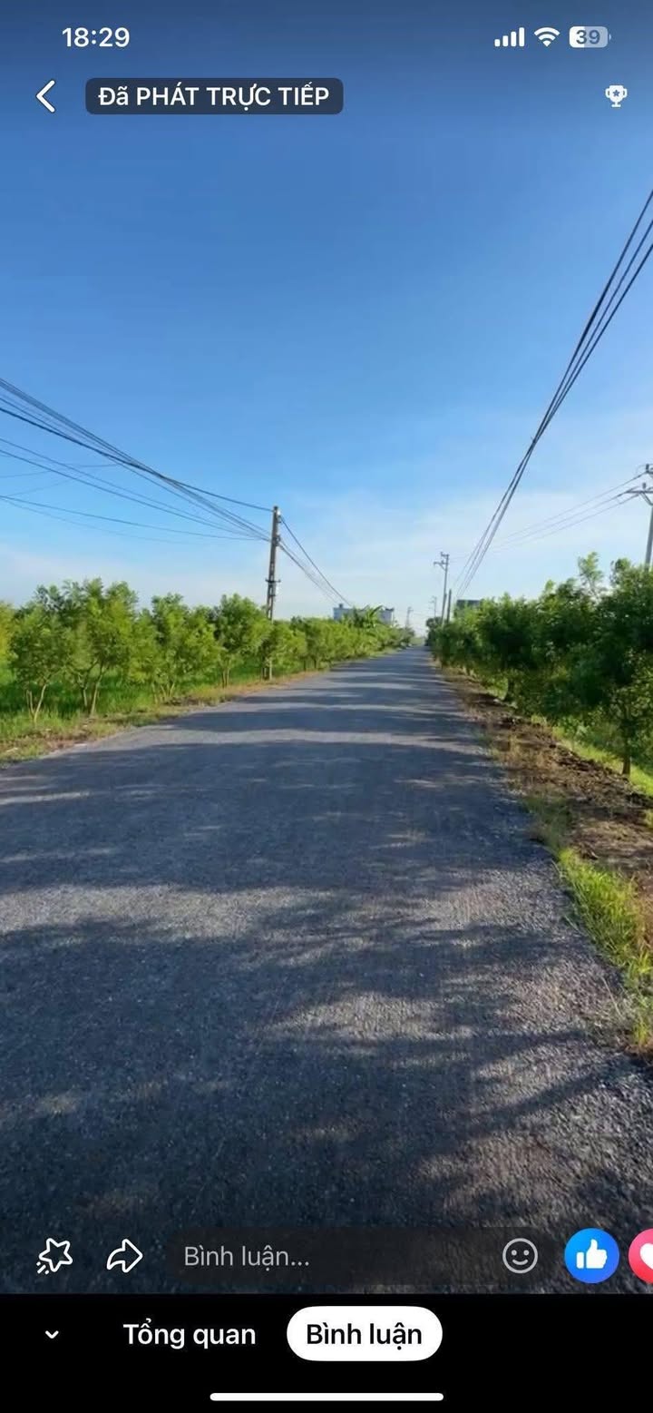 Đất liền kề tại Xóm 7, xã Hồng Thuận, Nam Định 125m² giá chỉ 1 tỷ - Cơ hội đầu tư tuyệt vời!