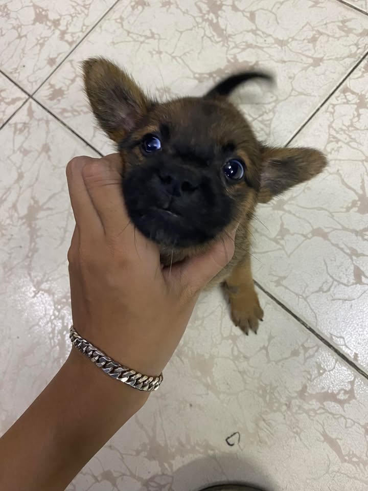 Nhà cho thuê đường Bình Lợi, Bình Thạnh 100m² giá 25 triệu - Doanh thu cao, khai thác tốt!