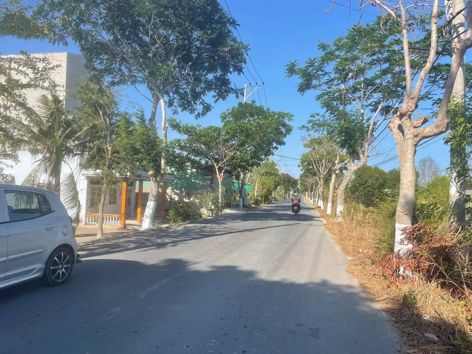 Đất mặt tiền Dương Văn Hạnh, Lý Nhơn, Cần Giờ 347m² giá 4.511 tỷ - Tiềm năng đầu tư vượt trội!