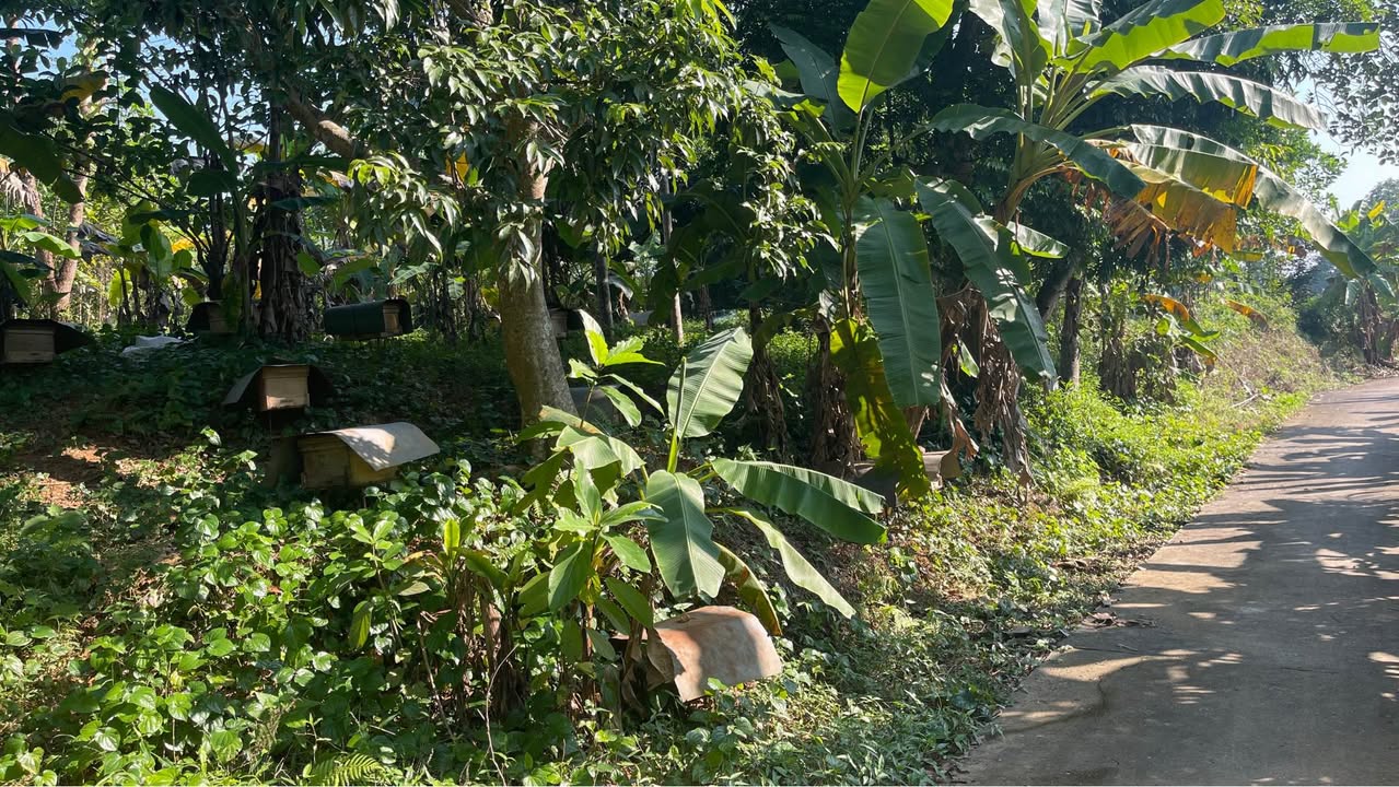 Đất nghỉ dưỡng Ba Vì 4000m² giá thỏa thuận - View núi tuyệt đẹp!