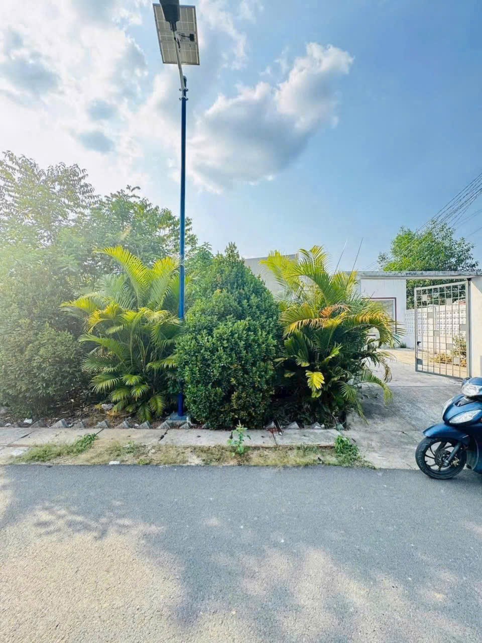 Đất nền phường Tân Triều 100m² giá chỉ 1.05 tỷ - Vị trí đắc địa ngay trung tâm!