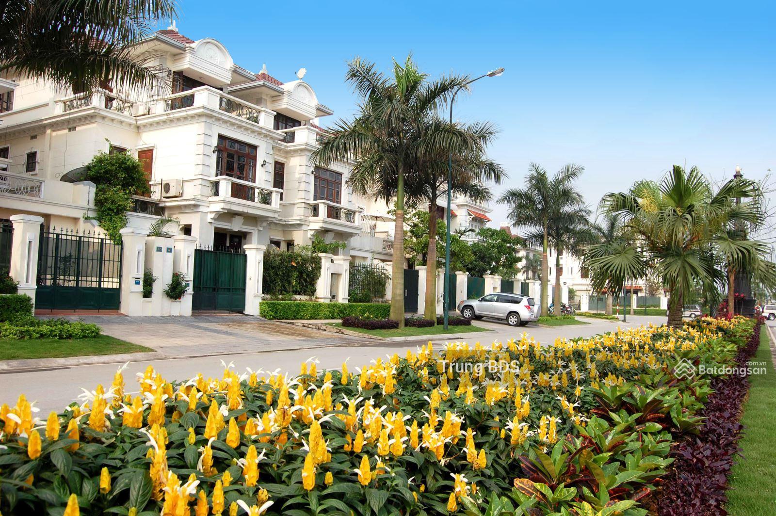 Biệt thự, liền kề Ciputra 230m² giá 73.6 tỷ - Không gian sống thượng lưu