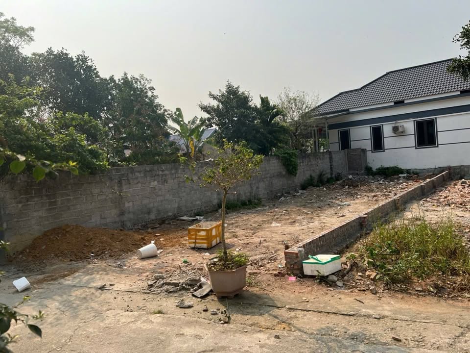 Đất thổ cư 110.9m² tại TDP Tam Quang, Gia Khánh - Giá chỉ 1.3 tỷ!