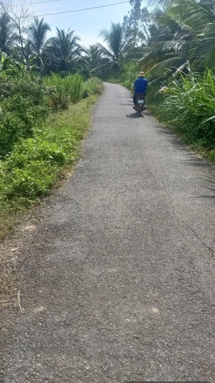 Đất nền mặt tiền đường nhựa xã Tân Mỹ, Ba Tri, Bến Tre 200m² - Giá chỉ 300 triệu!