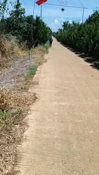 Đất nền 1,6ha tại Lâm Hà - Sổ đỏ chính chủ - Giá thỏa thuận!