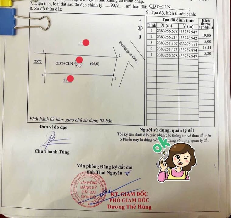 Đất phường Tích Lương Thái Nguyên 94m² giá 900 triệu - Đường ô tô vào tận nơi!