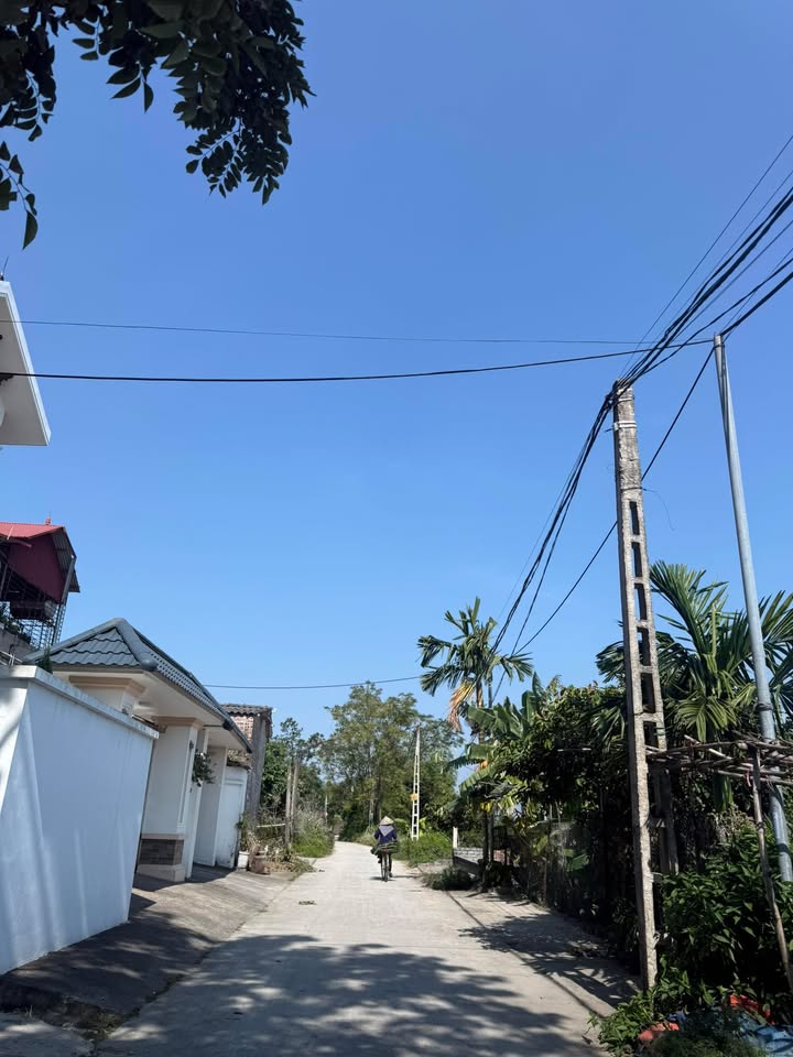 Đất nền Xuân Phú Yên Dũng 136m² giá 1.6 tỷ - Vị trí thông thoáng, thuận lợi giao thông!