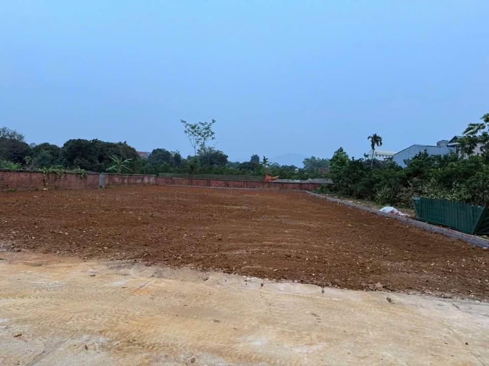 Đất nền thôn 7 Phú Cát 100m² giá thỏa thuận - Cơ hội đầu tư hấp dẫn!