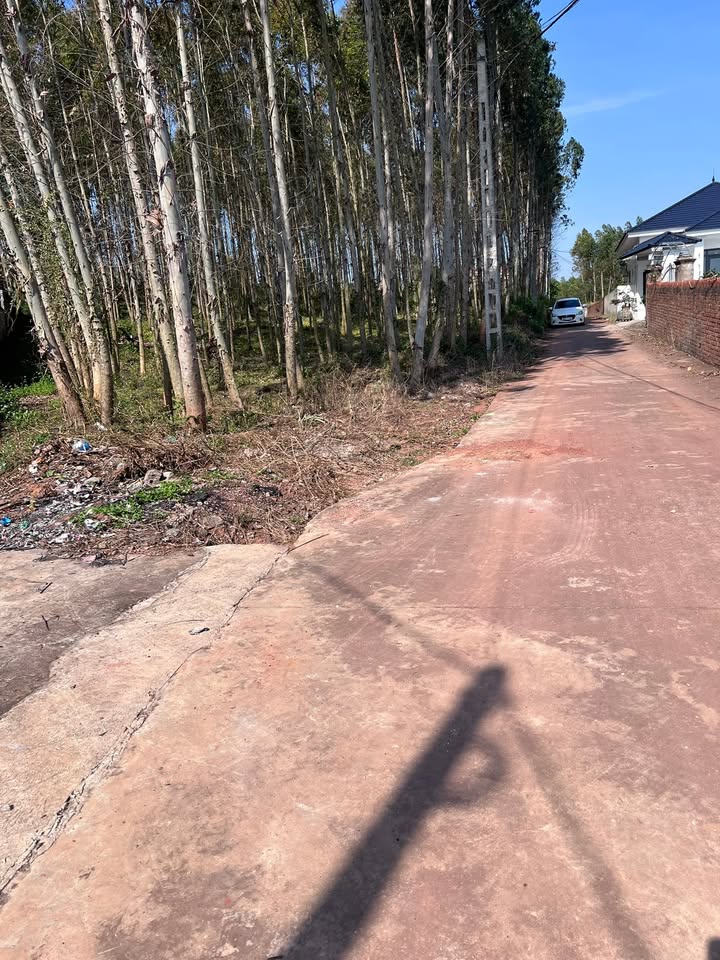 Đất nền Tam Dị, Lục Nam 1155m² giá 1.3 tỷ - Đầu tư sinh lời tuyệt vời!